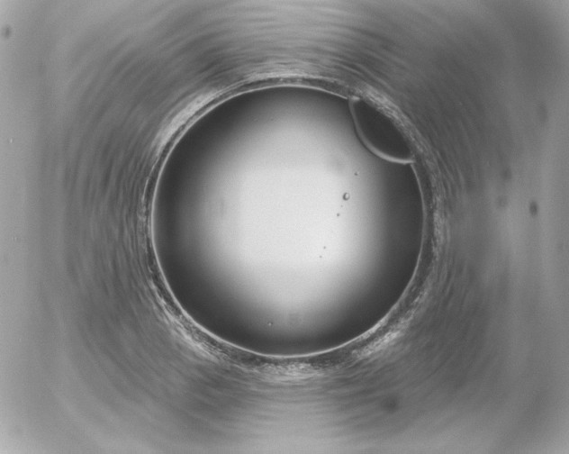 X0000052941129200507221140