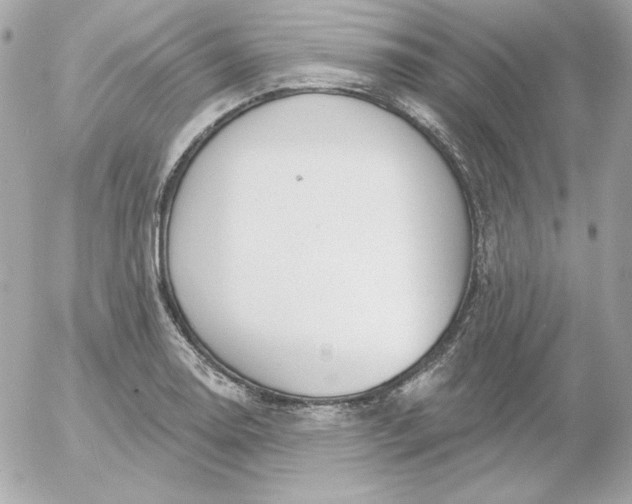 X0000052941130200507221140