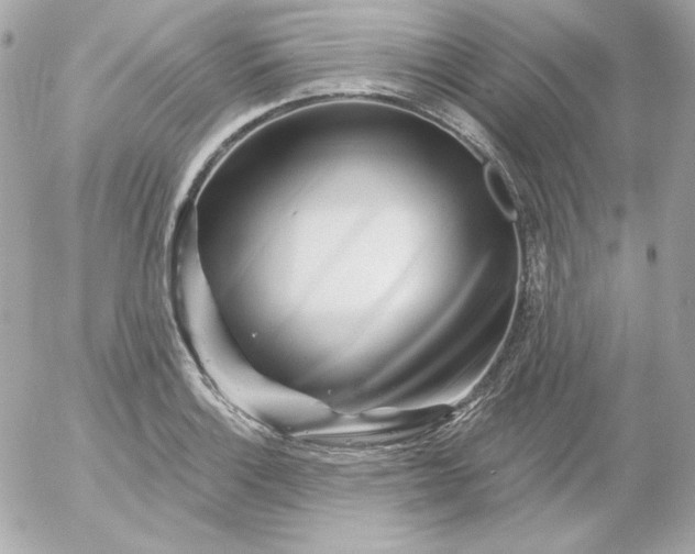 X0000052941132200507221140