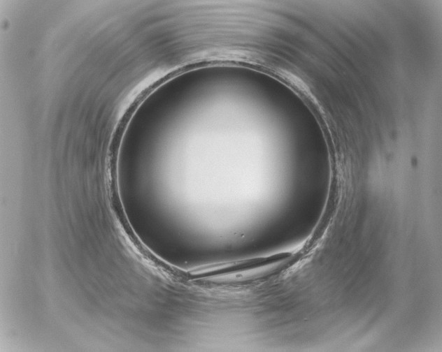 X0000052941133200507221140