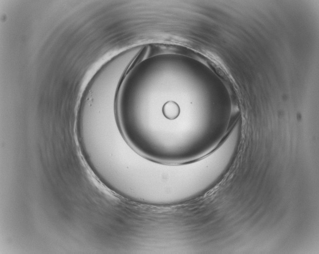 X0000052941136200507221140