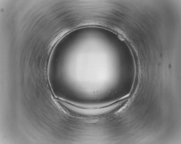 X0000052941137200507221140