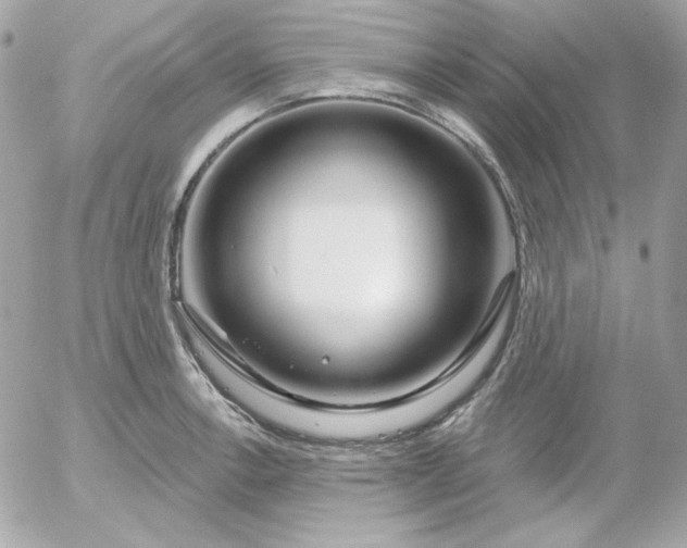 X0000052941138200507221140