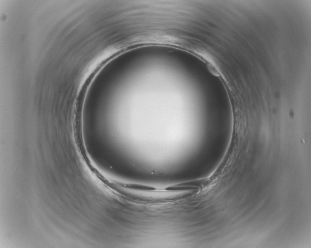 X0000052941139200507221140