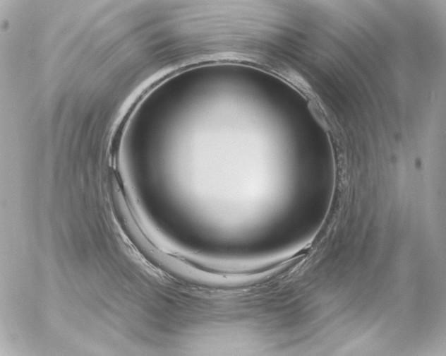 X0000052941140200507221140