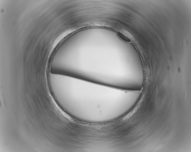 X0000052941141200507221140