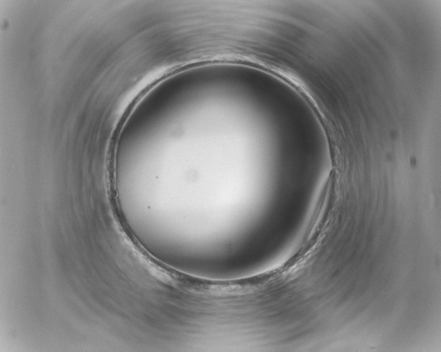 X0000052941142200507221140