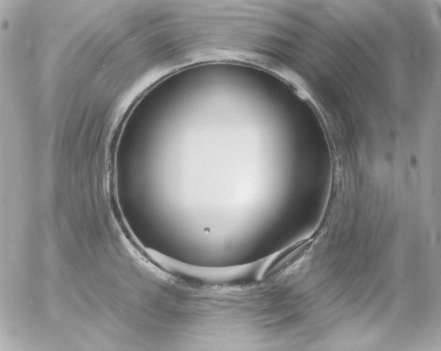 X0000052941143200507221140