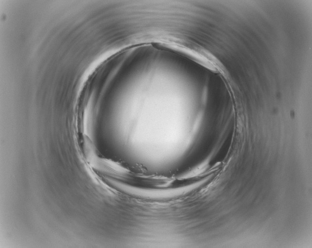 X0000052941144200507221140