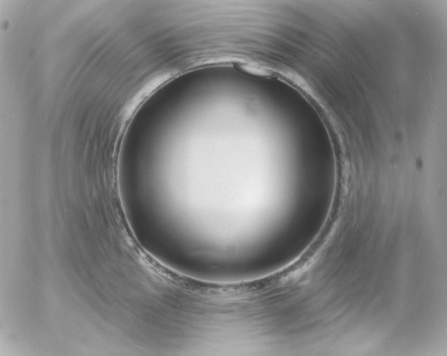 X0000052941145200507221140