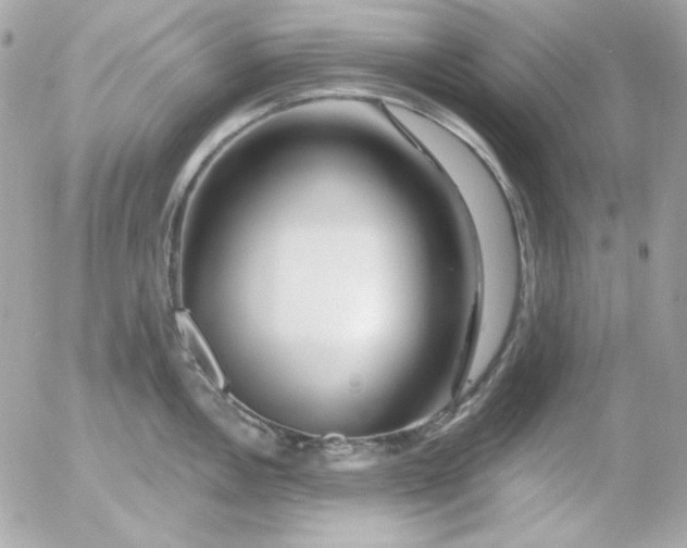 X0000052941146200507221140