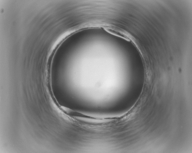 X0000052941147200507221140