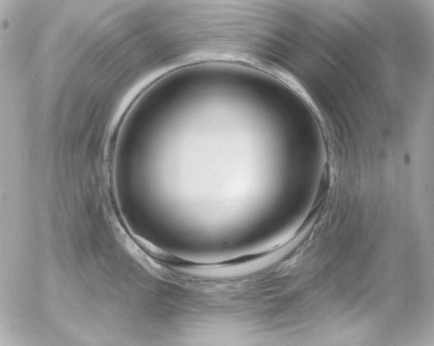 X0000052941148200507221140