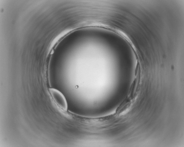 X0000052941149200507221140