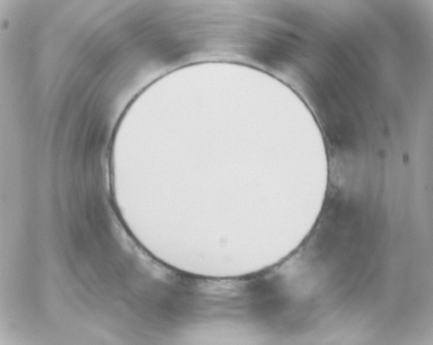 X0000052941150200507221140