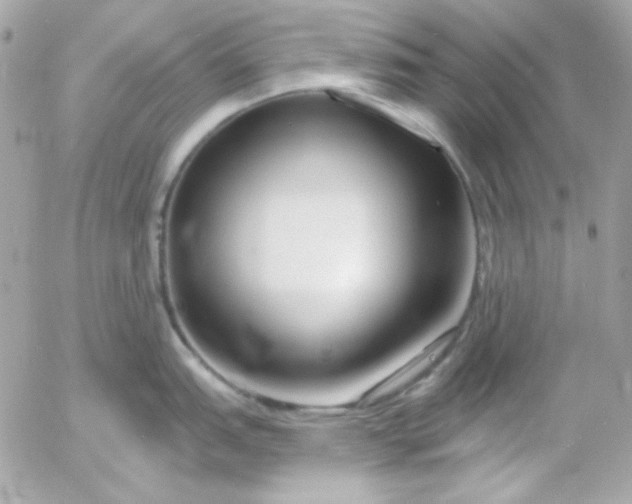 X0000052941151200507221140