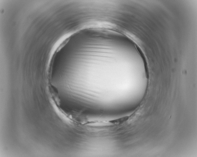 X0000052941152200507221140