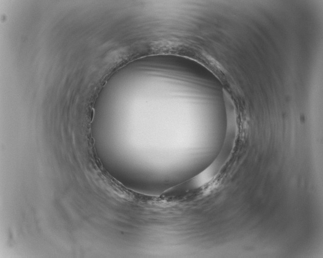 X0000052941153200507221139