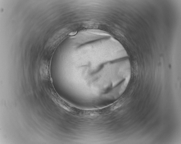 X0000052941154200507221139