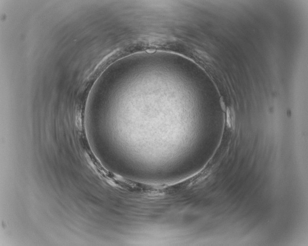 X0000052941155200507221139