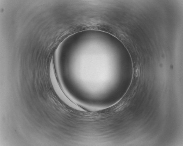 X0000052941156200507221139