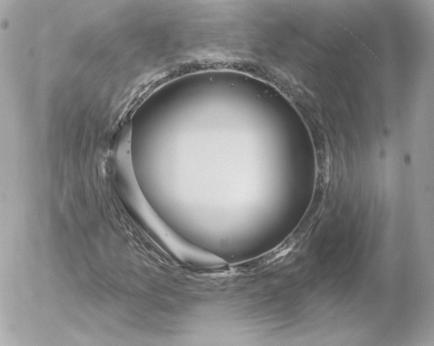 X0000052941157200507221139