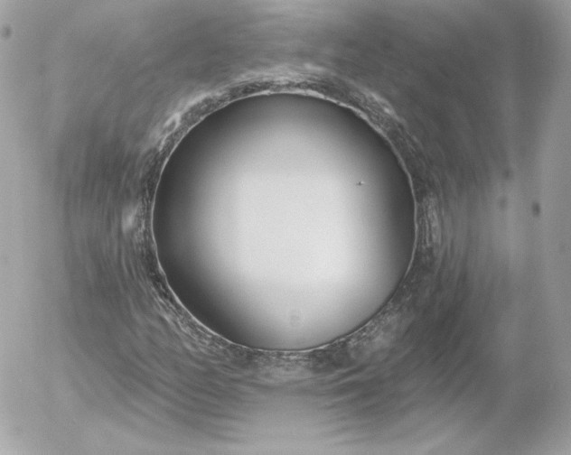 X0000052941158200507221139