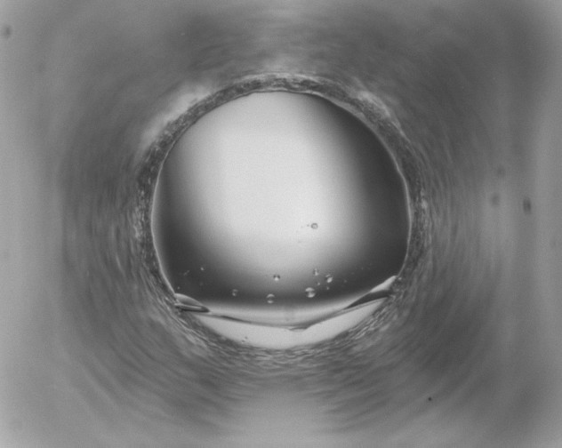 X0000052941159200507221139