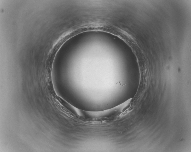 X0000052941160200507221139