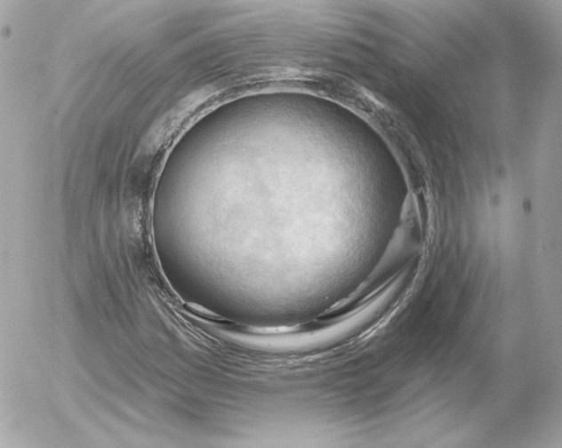 X0000052941161200507221139