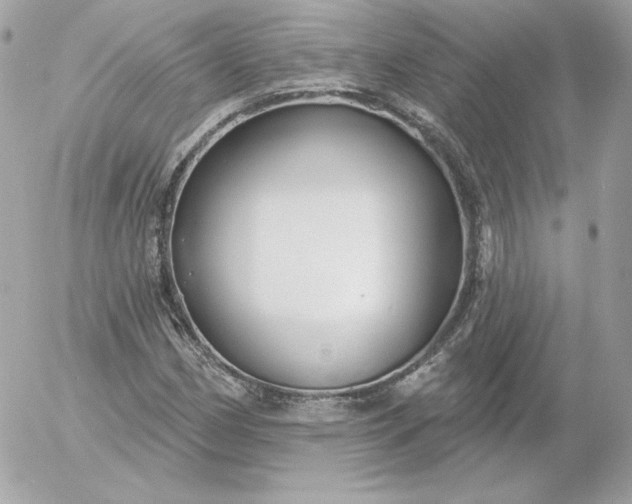 X0000052941162200507221139