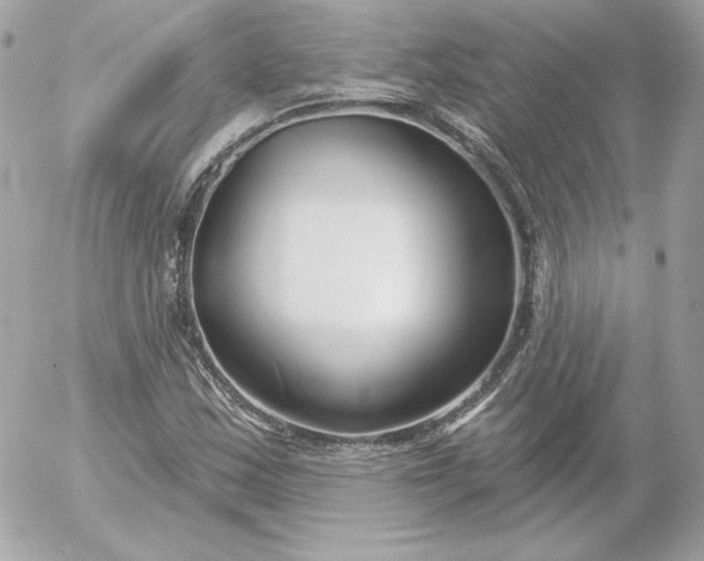 X0000052941163200507221139