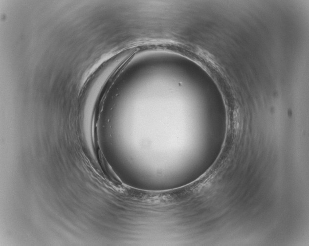 X0000052941165200507221139