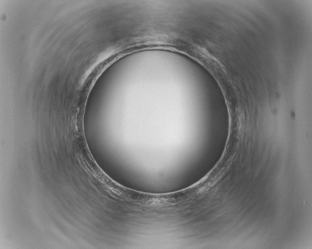 X0000052941166200507221139