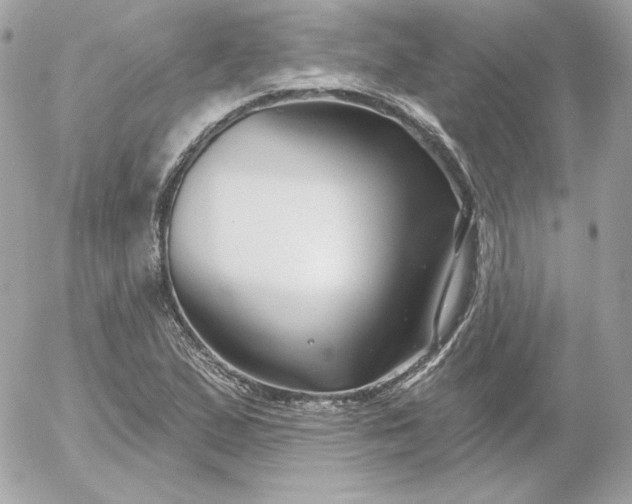 X0000052941167200507221139