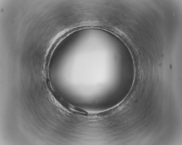 X0000052941168200507221139