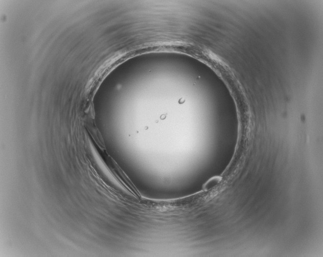 X0000052941169200507221139