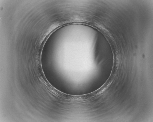 X0000052941170200507221139