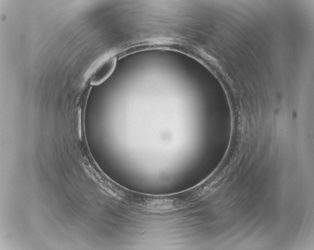 X0000052941171200507221139