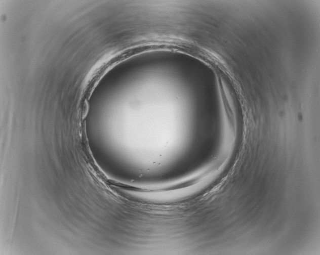 X0000052941172200507221139