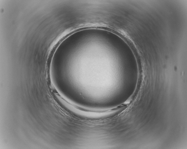 X0000052941173200507221139