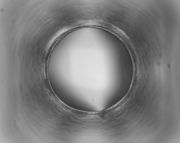 X0000052941174200507221139