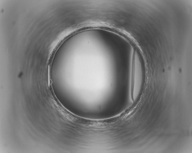 X0000052941175200507221139