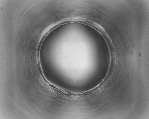 X0000052941176200507221139