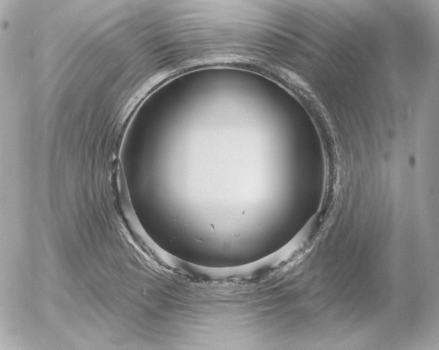 X0000052941177200507221139