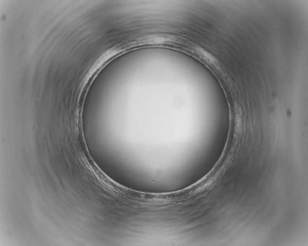 X0000052941178200507221139