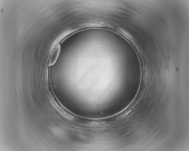 X0000052941179200507221139