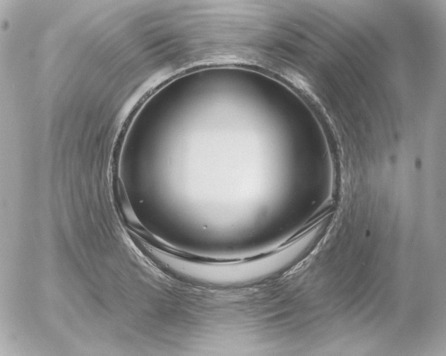 X0000052941181200507221139