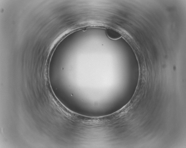 X0000052941182200507221139