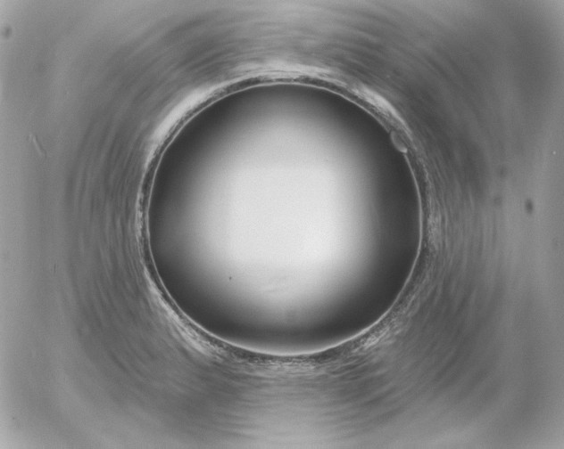 X0000052941183200507221139